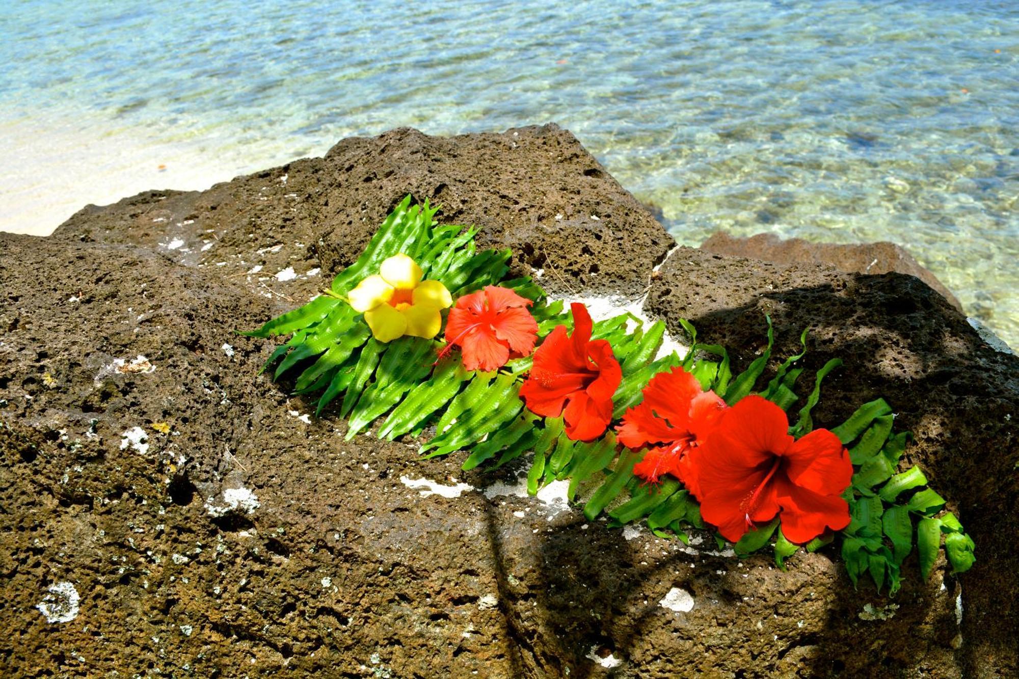 Te Ora Hau Ecolodge Afareaitu Bilik gambar